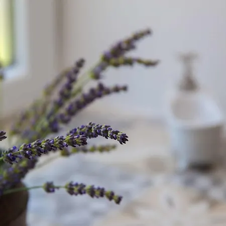 House Panorama House Novi Vinodolski